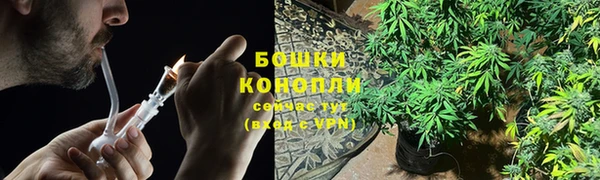 прущие крисы Касимов